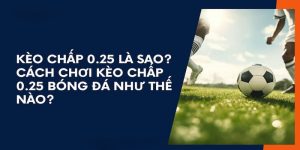 kèo chấp 1/4 là sao